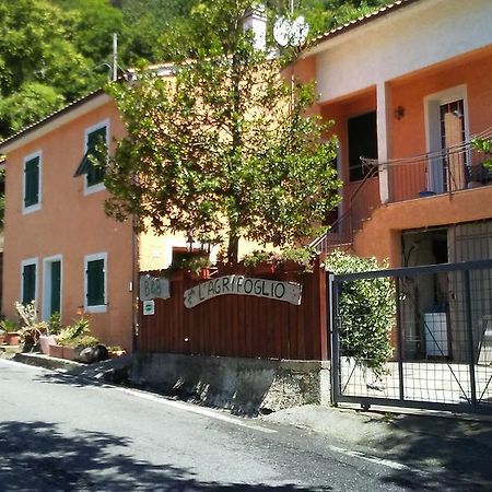 MaglioloCasa Vacanze L'Agrifoglio住宿加早餐旅馆 外观 照片