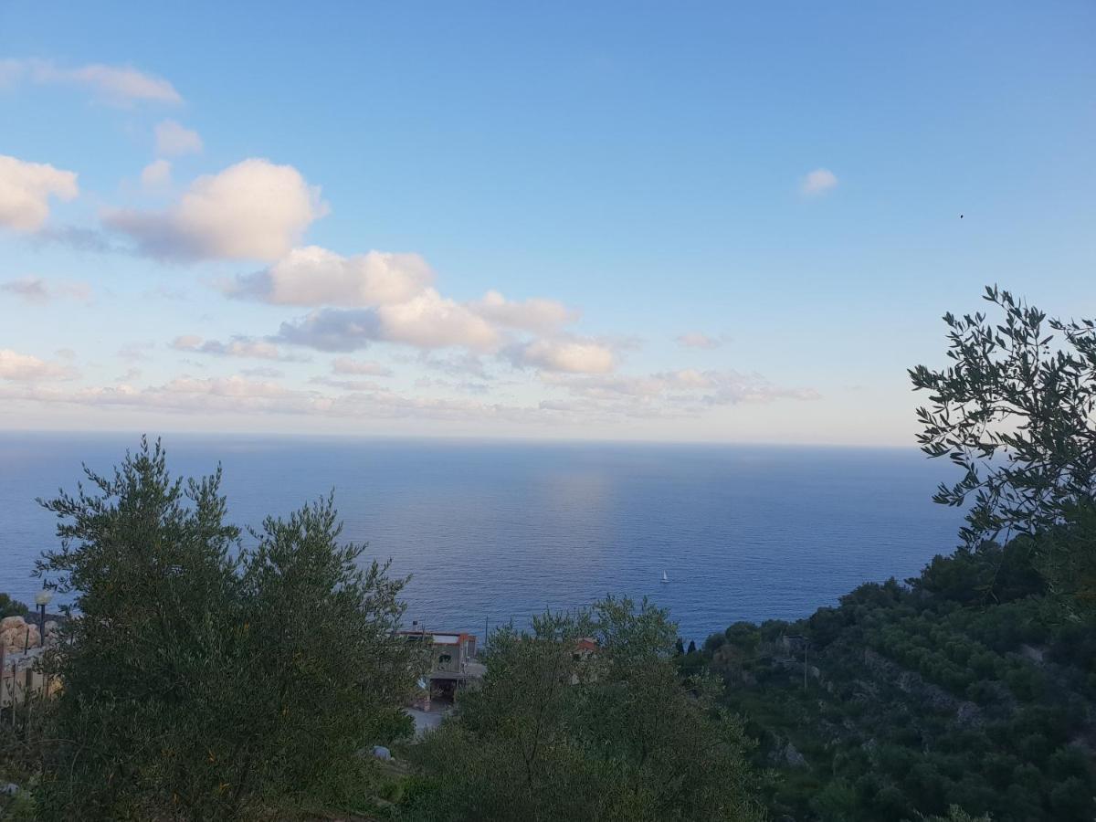 MaglioloCasa Vacanze L'Agrifoglio住宿加早餐旅馆 外观 照片